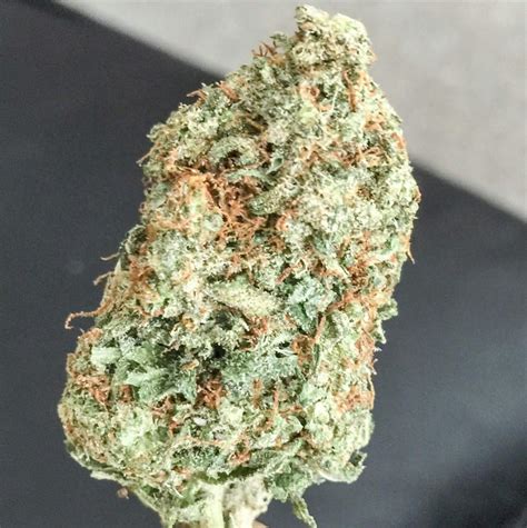 dior pink kush|Dior Pink Kush Marijuana Strain Information & Reviews .